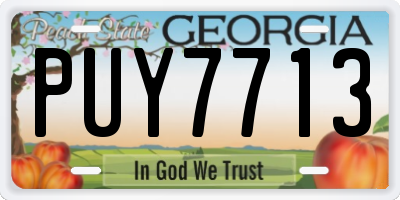 GA license plate PUY7713