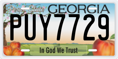 GA license plate PUY7729