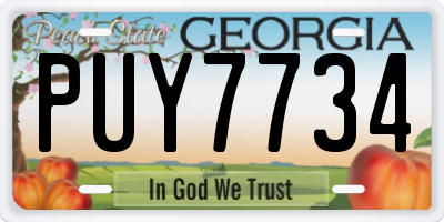 GA license plate PUY7734