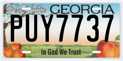 GA license plate PUY7737