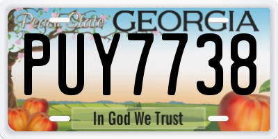 GA license plate PUY7738