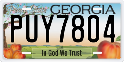 GA license plate PUY7804