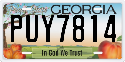 GA license plate PUY7814