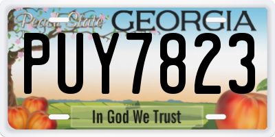 GA license plate PUY7823