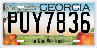 GA license plate PUY7836