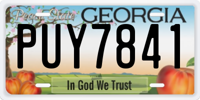 GA license plate PUY7841