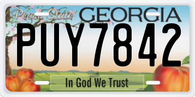 GA license plate PUY7842