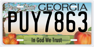 GA license plate PUY7863