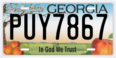 GA license plate PUY7867