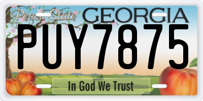 GA license plate PUY7875