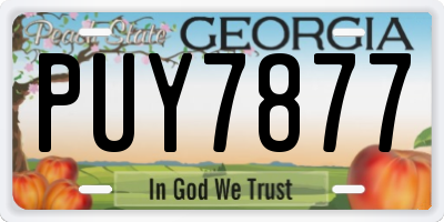 GA license plate PUY7877