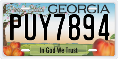 GA license plate PUY7894