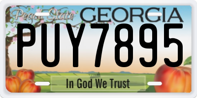 GA license plate PUY7895