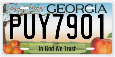 GA license plate PUY7901