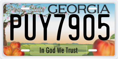 GA license plate PUY7905