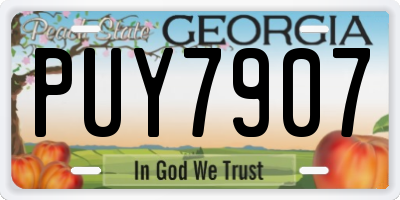 GA license plate PUY7907