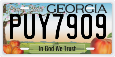GA license plate PUY7909