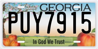 GA license plate PUY7915