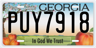 GA license plate PUY7918