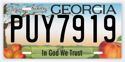 GA license plate PUY7919