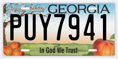 GA license plate PUY7941