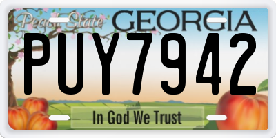 GA license plate PUY7942