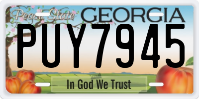 GA license plate PUY7945