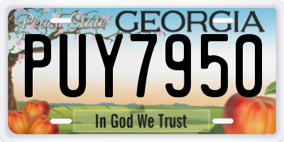 GA license plate PUY7950