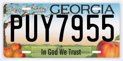 GA license plate PUY7955