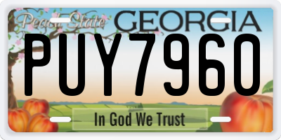 GA license plate PUY7960