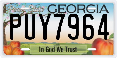 GA license plate PUY7964