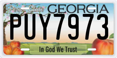 GA license plate PUY7973