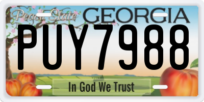 GA license plate PUY7988