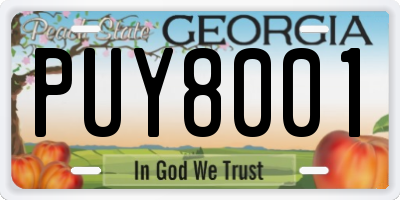 GA license plate PUY8001