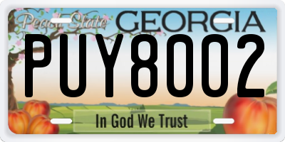GA license plate PUY8002