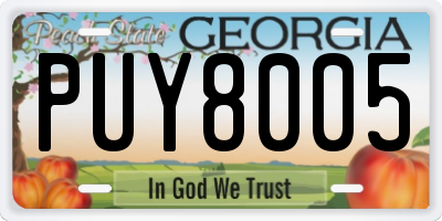 GA license plate PUY8005
