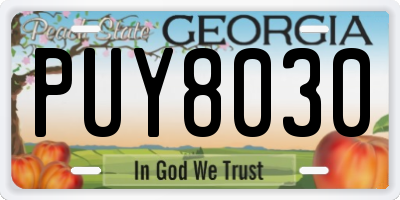 GA license plate PUY8030