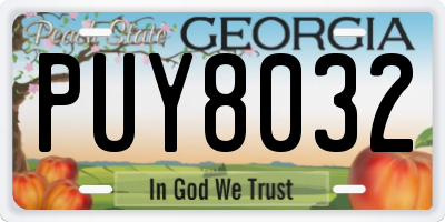 GA license plate PUY8032