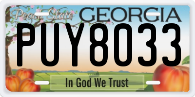 GA license plate PUY8033