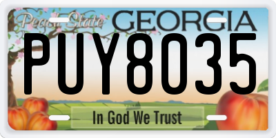 GA license plate PUY8035