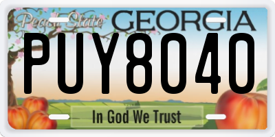 GA license plate PUY8040