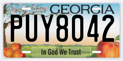 GA license plate PUY8042