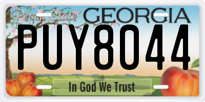 GA license plate PUY8044