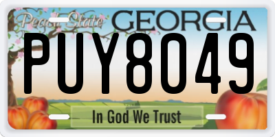GA license plate PUY8049