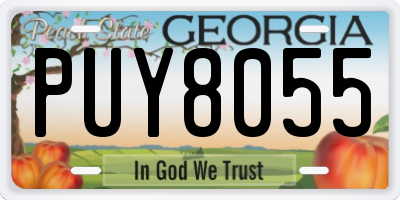 GA license plate PUY8055