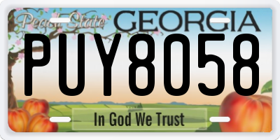 GA license plate PUY8058