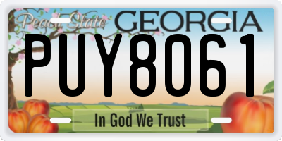 GA license plate PUY8061