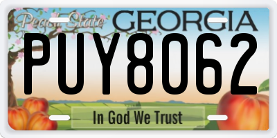 GA license plate PUY8062