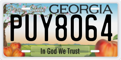 GA license plate PUY8064
