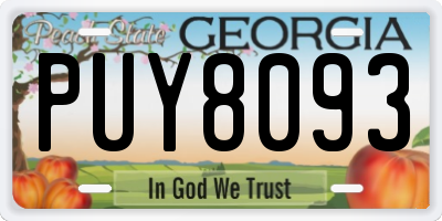 GA license plate PUY8093